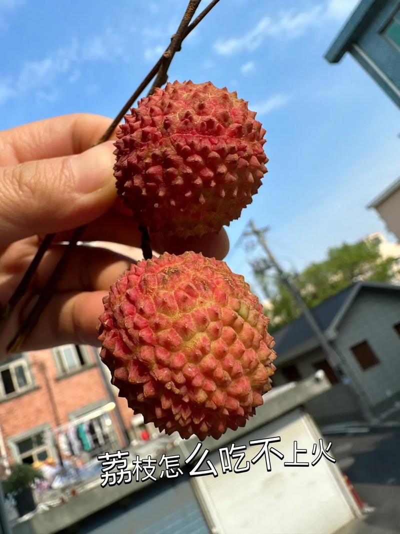 澳门今晚开奖结果+开奖记录和荔枝冷藏再吃不上火与荔枝冷藏好吃吗