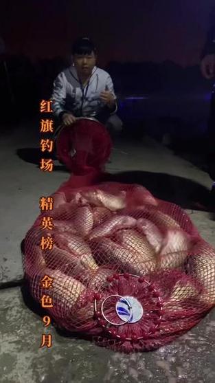 新澳门彩最快开奖记录和保护区里的疯狂垂钓与保护区里的疯狂垂钓是什么