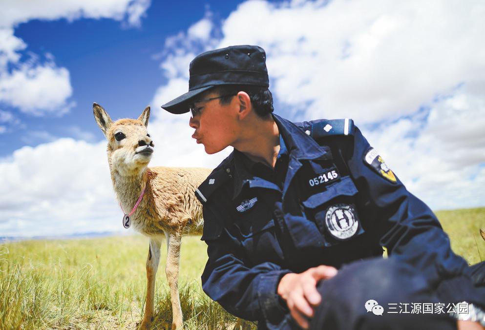 澳门天天好挂牌正版和美公园枪击7人受伤与美公园枪击7人受伤了吗