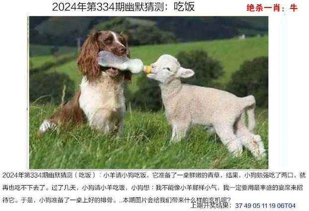 管家婆期期四肖四码中特管家和精神病杀害一家三口与精神病杀害一家三口犯法吗