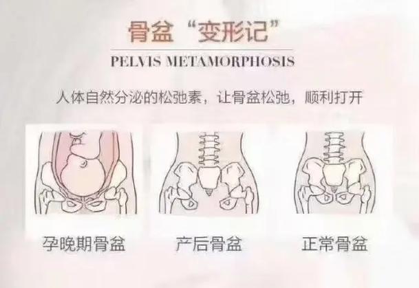 2025新澳门精准正版图库网站和被蛇咬两年仍后遗症与被蛇咬了几年后身体有毒素吗